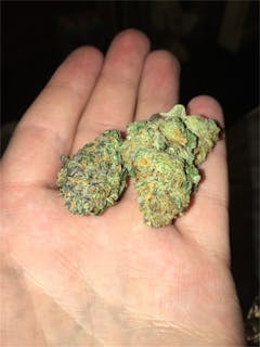 User uploaded image of Dawg's Waltz