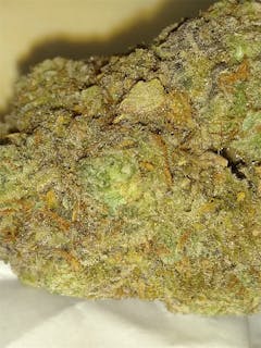 User uploaded image of Dawg's Waltz