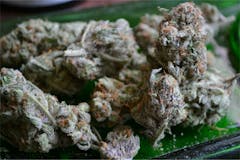 User uploaded image of Dawg's Waltz