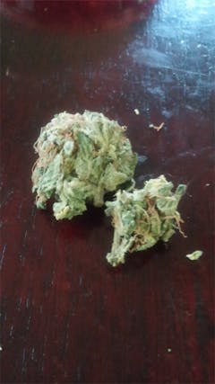 User uploaded image of Day Tripper