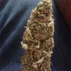 User uploaded image of Deadhead OG