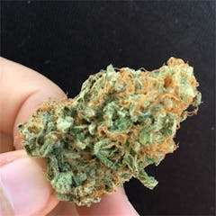 User uploaded image of Deadhead OG