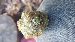 User uploaded image of Death Bubba