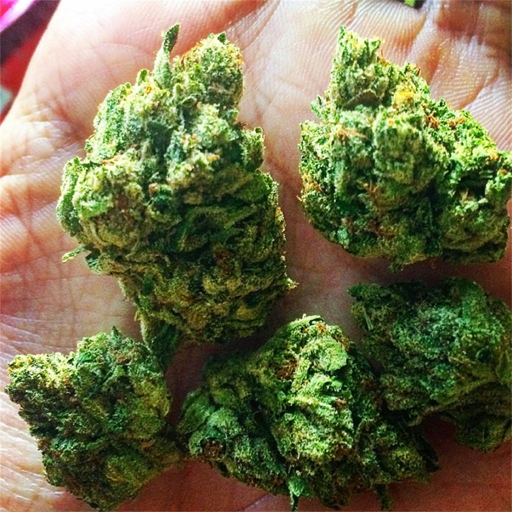 Photos of Death Star Weed Strain Buds Leafly