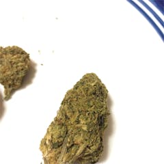 User uploaded image of Deep Cheese