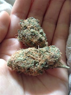 User uploaded image of Deep Cheese