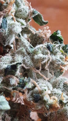 User uploaded image of DelaHaze