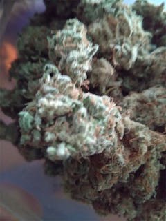 User uploaded image of DelaHaze