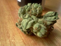 User uploaded image of Denver Maple