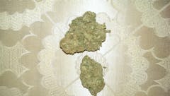 User uploaded image of Devil Fruit