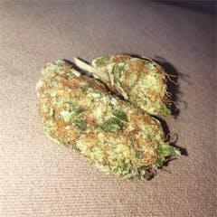 User uploaded image of Devil Fruit