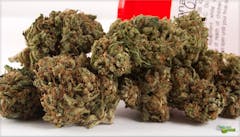 User uploaded image of Diablo