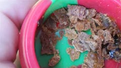 User uploaded image of Diablo