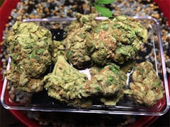 User uploaded image of Diablo