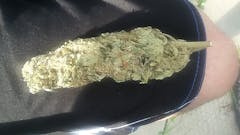 User uploaded image of Diablo