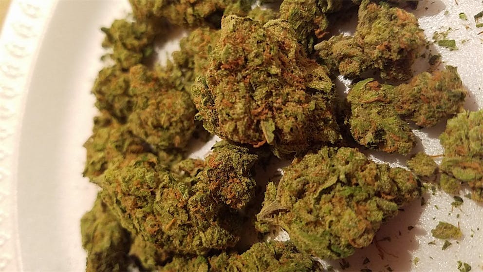 Photos of Diamond OG Weed Strain Buds Leafly