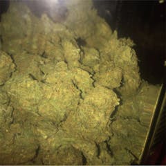 User uploaded image of Diamond OG