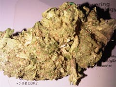 User uploaded image of Diesel Duff