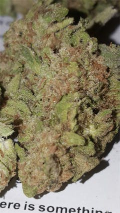 User uploaded image of Dieseltonic