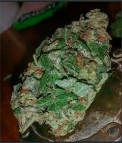 User uploaded image of Dieseltonic