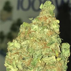 User uploaded image of Dirty Girl