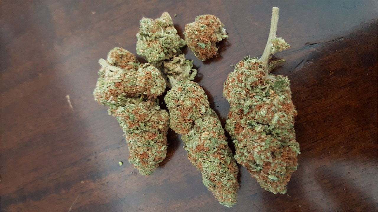 Dirty Girl Marijuana Strain Information