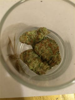 User uploaded image of Dirty Girl