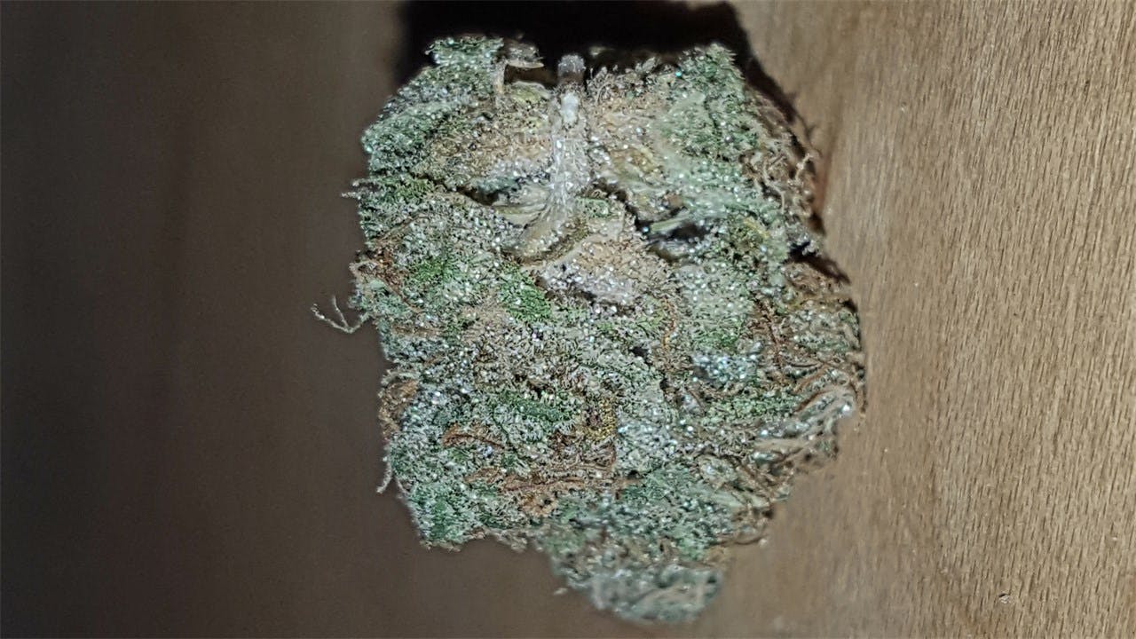 Photos Of Dj Short Blueberry Weed Strain Buds Leafly