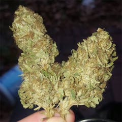 User uploaded image of DJ Short Blueberry