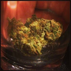 User uploaded image of Django