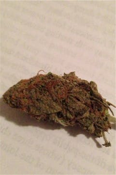 User uploaded image of Django