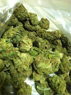 User uploaded image of Django