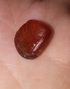 User uploaded image of Django