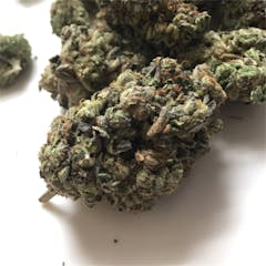 User uploaded image of Dosidos