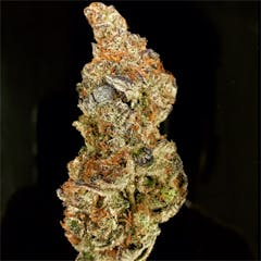 User uploaded image of Dosidos