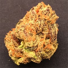 User uploaded image of Dosidos