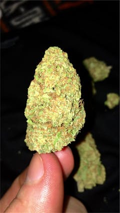 User uploaded image of Dog Shit