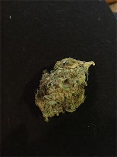 User uploaded image of Dog Shit