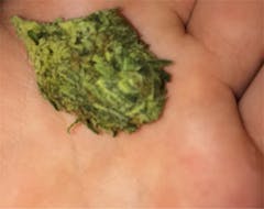 User uploaded image of Dog Shit