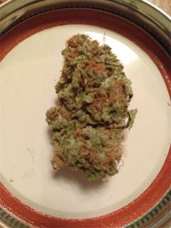 User uploaded image of Domino