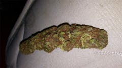 User uploaded image of Domino