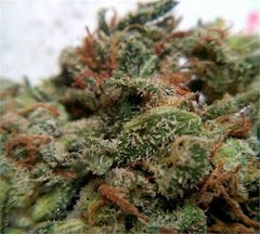 User uploaded image of Domino