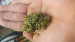 User uploaded image of Donegal