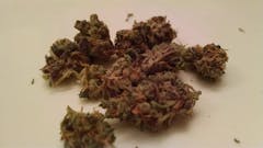 User uploaded image of Donna OG