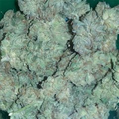 User uploaded image of Donna OG