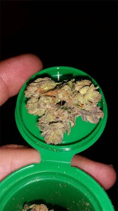 User uploaded image of Donna OG