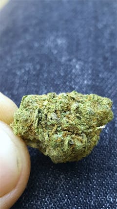 User uploaded image of Donna OG