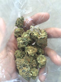 User uploaded image of Doobiebird Daydream