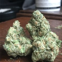 User uploaded image of Doobiebird Daydream