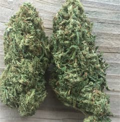 User uploaded image of Doobiebird Daydream